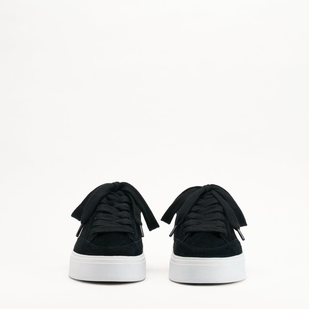 Lansbury Black