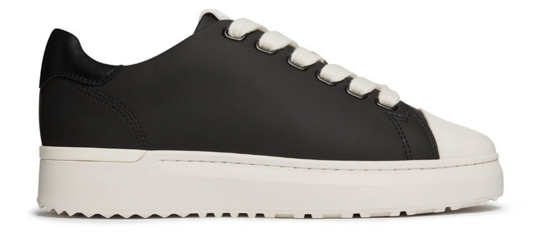 Black and white sneaker on a white background