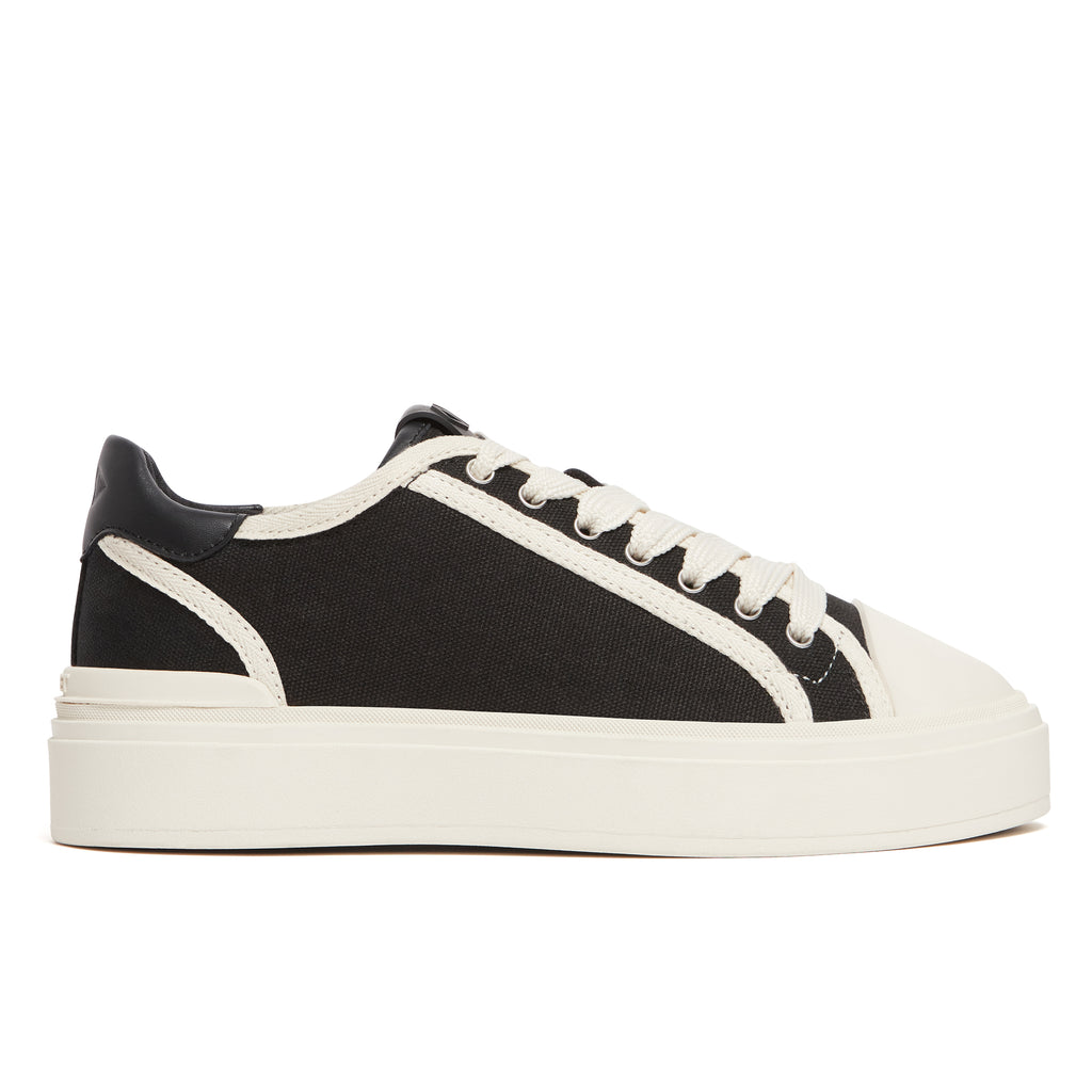 Lansbury TC Canvas